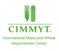 International Maize and Wheat Improvement Center CIMMYT logo